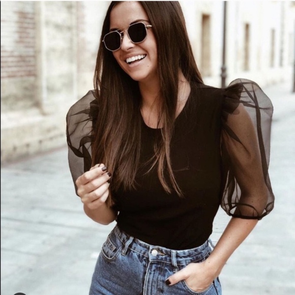 Zara Organza Sleeve Top NWT